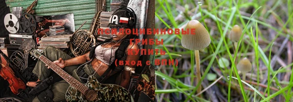 бошки Дмитровск